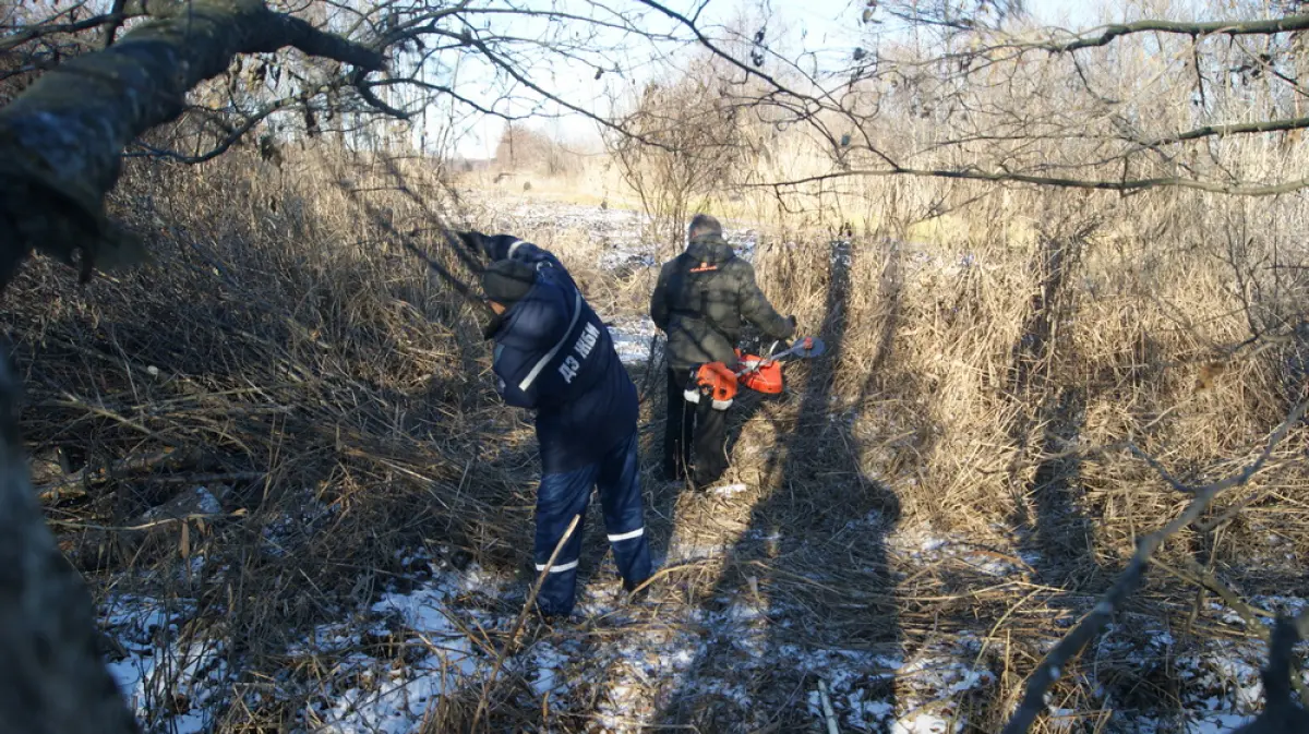 Расчистку русла и берега реки Толучеевка начали в Воробьевке