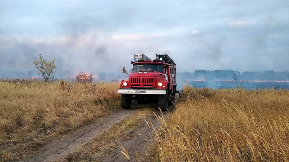 В список самых пожароопасных не вошли только 5 районов Воронежской области
