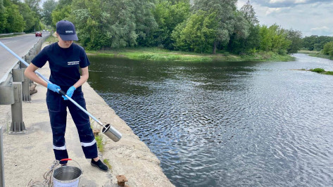 Росприроднадзор проверит информацию о сбросе стоков в реку Воронеж