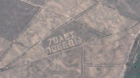 Воронежский лесной геоглиф «70 лет Победы» попал на карты Google