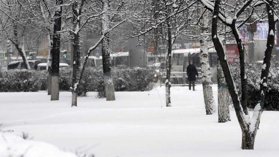 В Воронеже вывезли почти 7 тыс кубометров снега в ночь на 28 января 