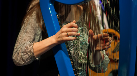 В Воронеже пройдет третий фестиваль бардов, менестрелей и сказителей