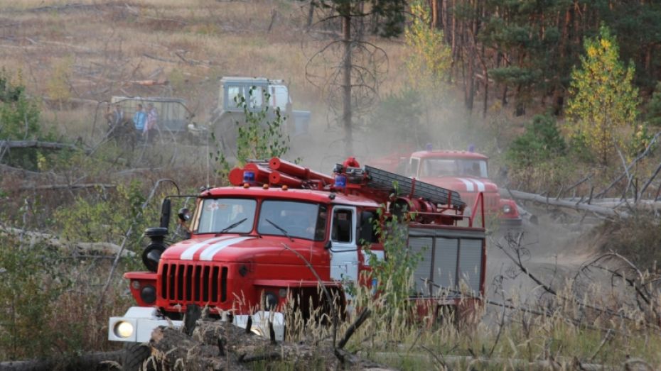 Площадь ландшафтных пожаров в Воронежской области выросла вдвое