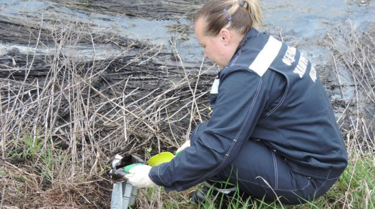 В Воронежской области с предприятия взыскали более 4 млн рублей за вред почвам