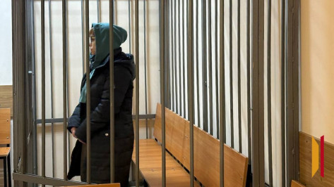 Нагадались до казенного дома: суд определил меру пресечения матери и дочери, обманувшим воронежскую владелицу IT-компании