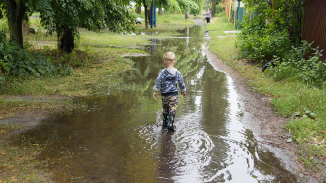 В Воронежской области родители 23 тыс детей получат социальные выплаты