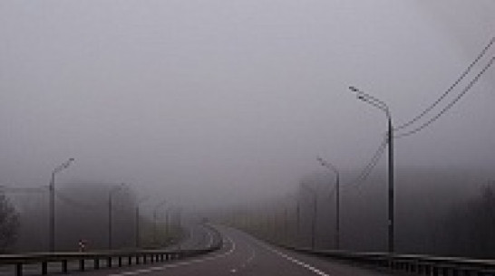 В Воронежской области дорожники на случай паводка держат на контроле 11 мостов