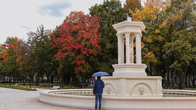 В Воронежскую область придет потепление до +21 градуса