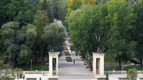 Воронежцы предложили создать летнюю горку в Центральном парке