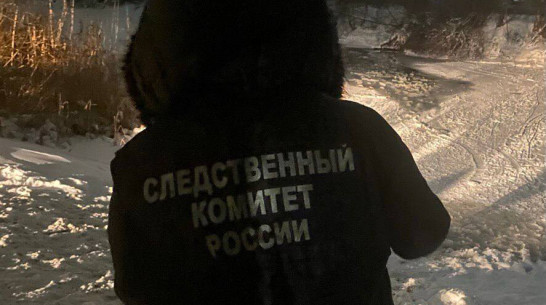 Под Воронежем двое мальчиков провалились под лед и утонули