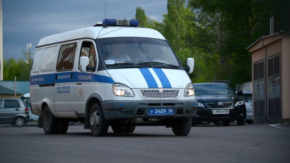 В Воронежской области ищут водителя, сбившего пешехода