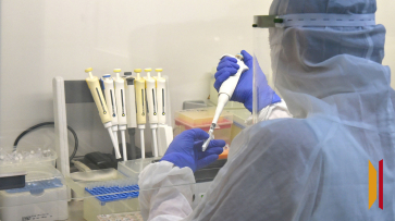 В Воронежской области опровергли фейк о новом смертельно опасном вирусе