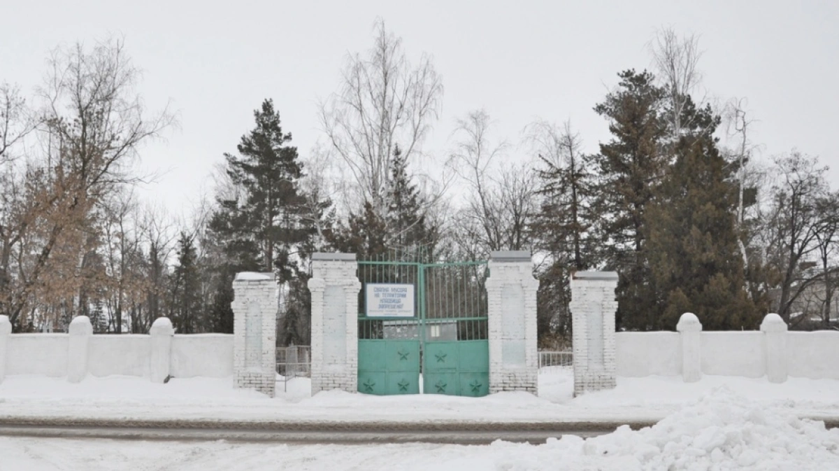 Погода в павловске на 10 дней. Братская могила город Павловск Воронежская. Кладбище Павловска Воронежской области. Г Павловск Воронежская область кладбище. Павловский могильник Воронеж.