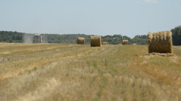 Воронежские аграрии получили около 6 млрд рублей господдержки в 2017 году