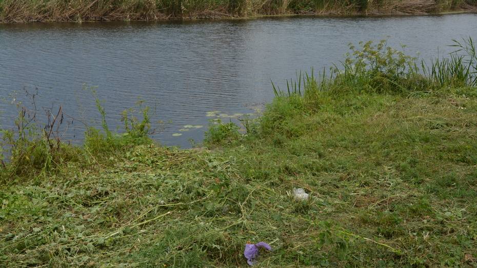 Богучарцев пригласили на уборку берегов рек