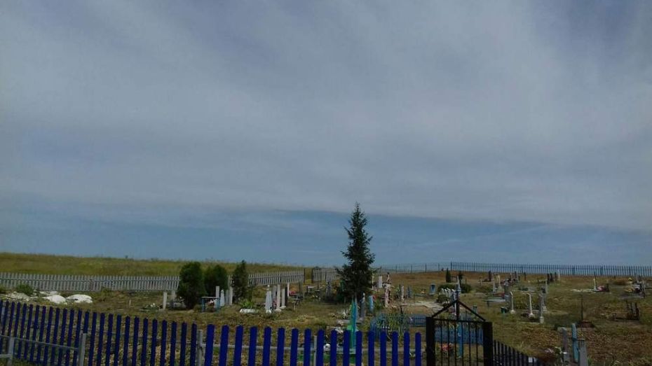 В россошанском селе Александровка активисты благоустроили кладбище