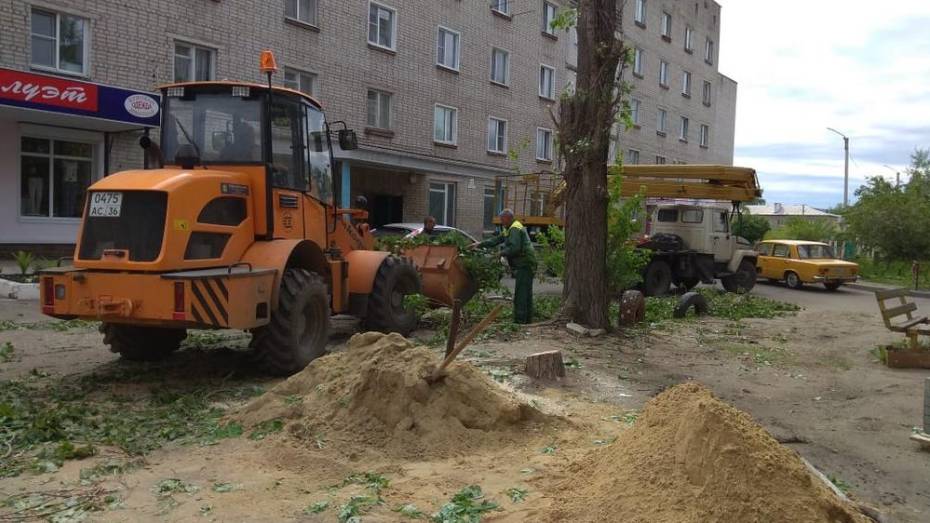 В Павловске на благоустройство дворовых территорий направили около 12,5 млн рублей