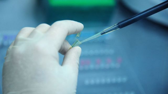 Очаг бешенства обнаружили в Калачеевском районе Воронежской области