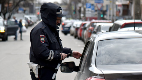 Полиция устроит 3-дневный рейд на дорогах в Воронежской области