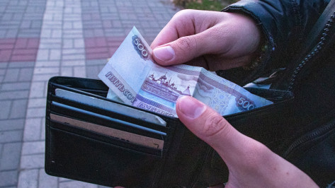 Средняя зарплата в Воронежской области выросла до 45,8 тыс рублей