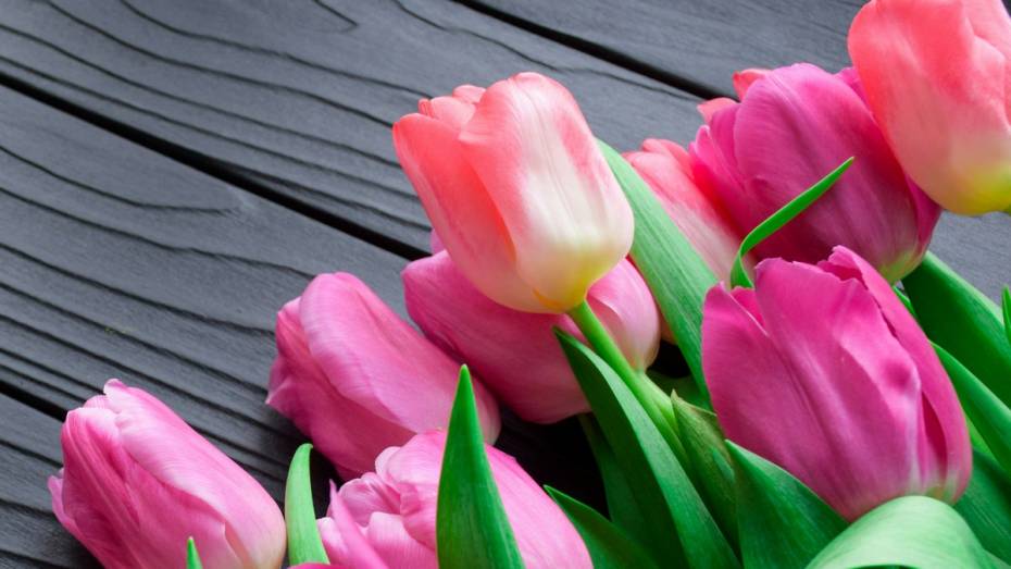 Губернатор Александр Гусев поздравил жительниц Воронежской области с 8 Марта