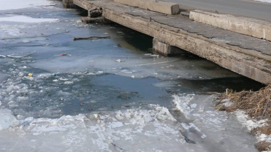 Спасатели предупредили об опасном льде на водоемах Воронежской области