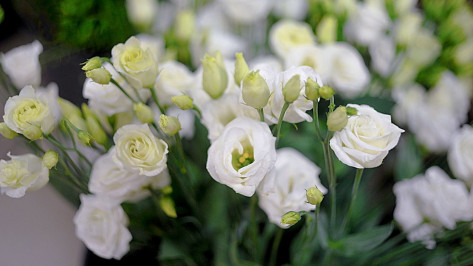 Воронежец украл букет для жены из павильона в Северном микрорайоне