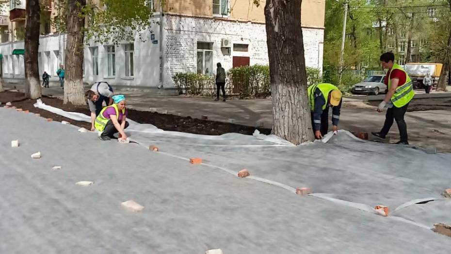 Мэрия отчиталась о благоустройстве газонов и тротуаров в трех районах Воронежа