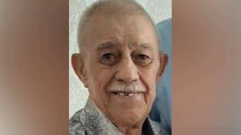 В Воронеже пропал нуждающийся в медпомощи 87-летний мужчина