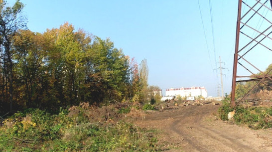 Воронежцы на общественных слушаниях обсудят судьбу нагорной Дубравы  