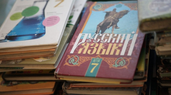 В Воронежской области средняя зарплата учителей достигла 25,2 тыс рублей