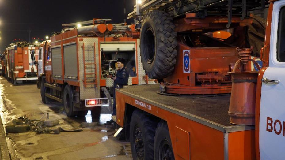 С начала года в Воронежской области в пожарах погибли более 140 человек