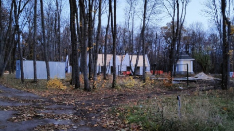 Жителей села под Воронежем обеспокоило строительство в парке санатория имени Дзержинского