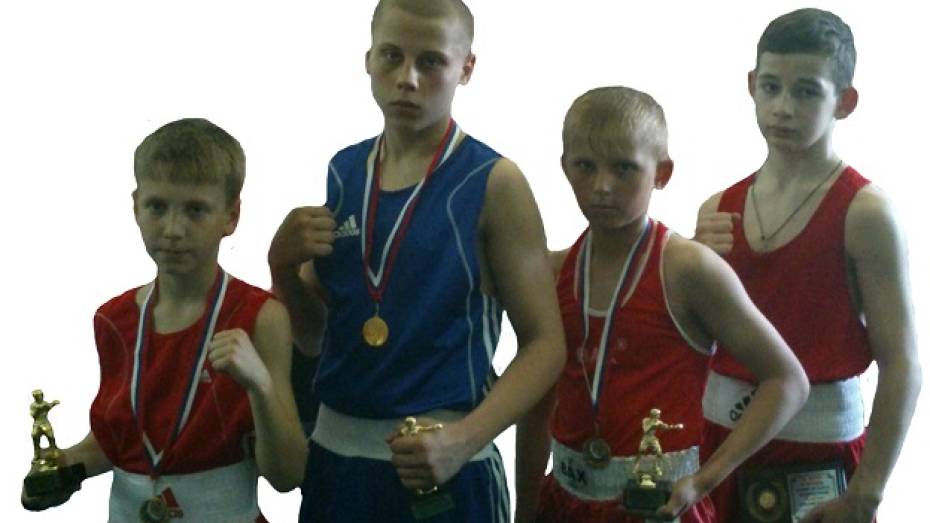 Три каширских спортсмена стали призерами  межобластного турнира по боксу