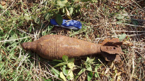 В Хохольском районе уничтожили 11 боеприпасов времен войны