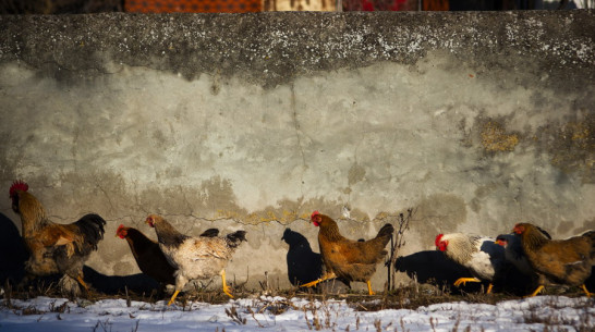 В Воронеже покажут работы фотографов, которые сочетают репортаж с методами искусства