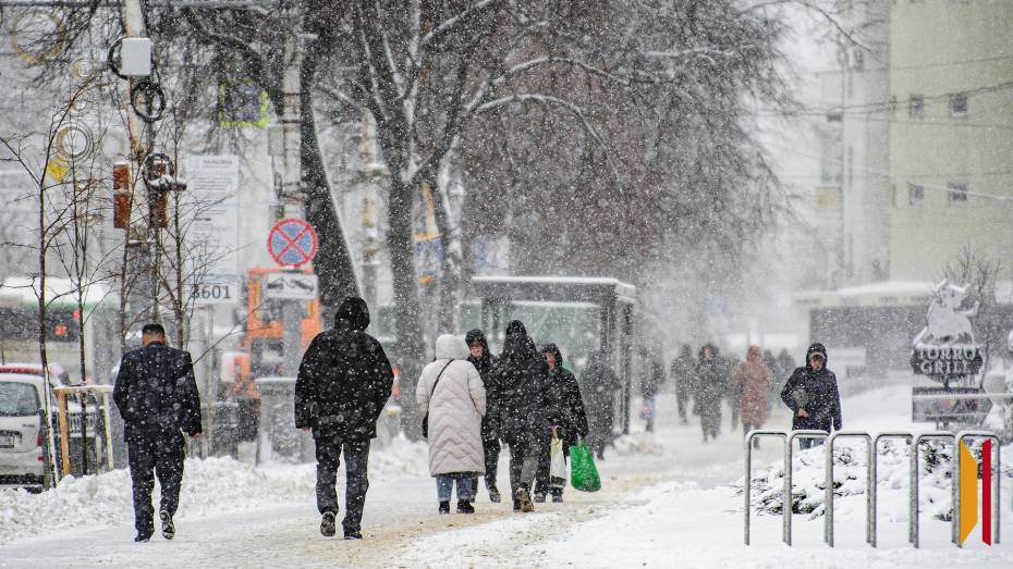 Итоги недели. Что важного произошло в Воронежской области с 9 по 15 февраля