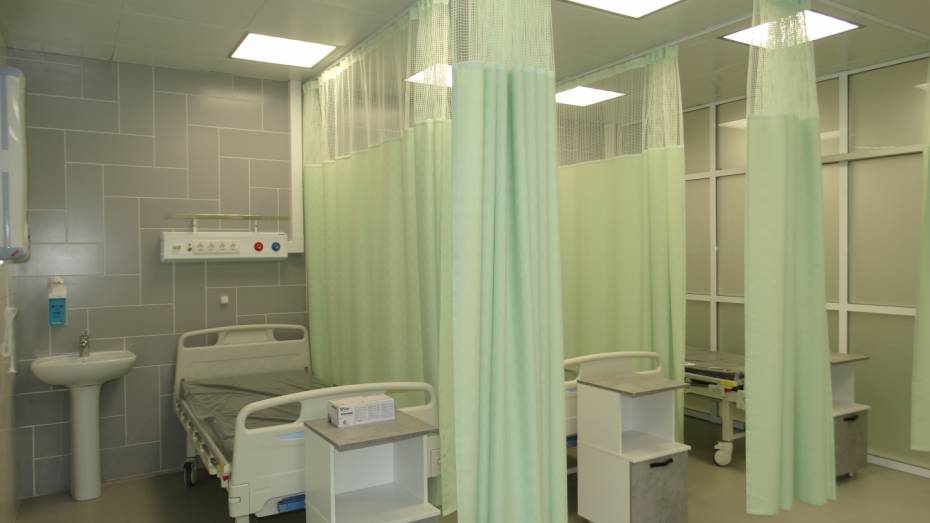 Через приемное отделение Воронежской облбольницы №1 прошло рекордное число пациентов