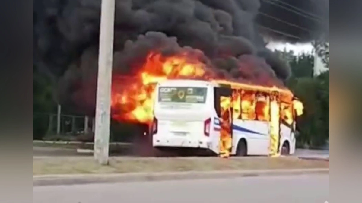 Заблокирована карта в общественном транспорте воронеж