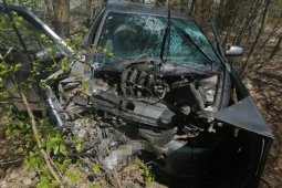 ВАЗ врезался в дерево в Воронежской области: пострадали двое взрослых и младенец