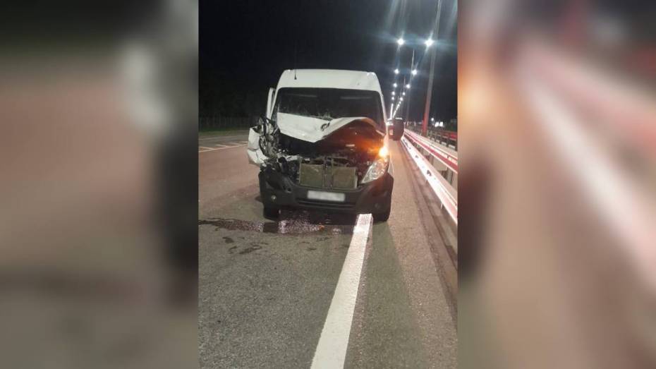 В Воронежской области 32-летняя женщина пострадала в столкновении фургона и фуры