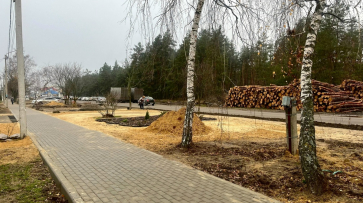 В Павловске завершили строительство тротуара протяженностью более 1 км по улице Лесной