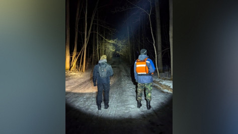 Воронежские волонтеры рассказали о поисках 64-летнего мужчины, который ушел в лес и не вернулся