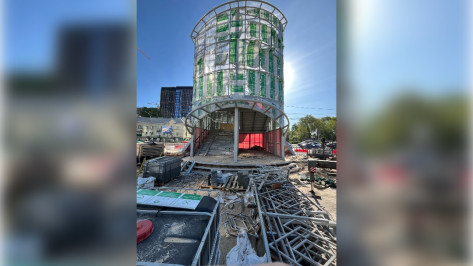 Воронежцам рассказали, будут ли сносить переход возле Центрального автовокзала