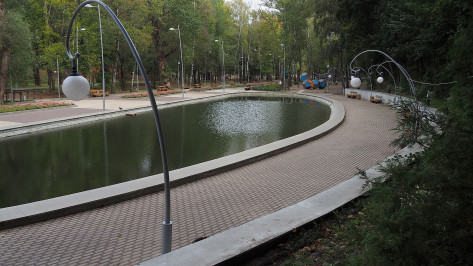 Мэрия Воронежа объяснила причину появления тины на пруду в Центральном парке