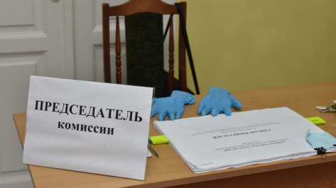 Избирательные комиссии Воронежа определились с режимом работы