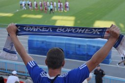 Воронежский «Факел» заработал около 30 млн рублей с начала сезона