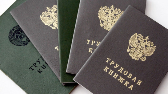 Вдвое уменьшили за год безработицу в Воронежской области