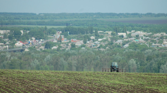 Опрос РИА «Воронеж». Что изменилось в регионе за 10 лет?