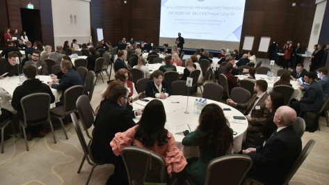 В Воронеже эксперты поделились идеями по развитию молодежной политики в регионе
